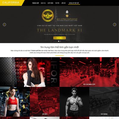 theme wordpress phòng gym